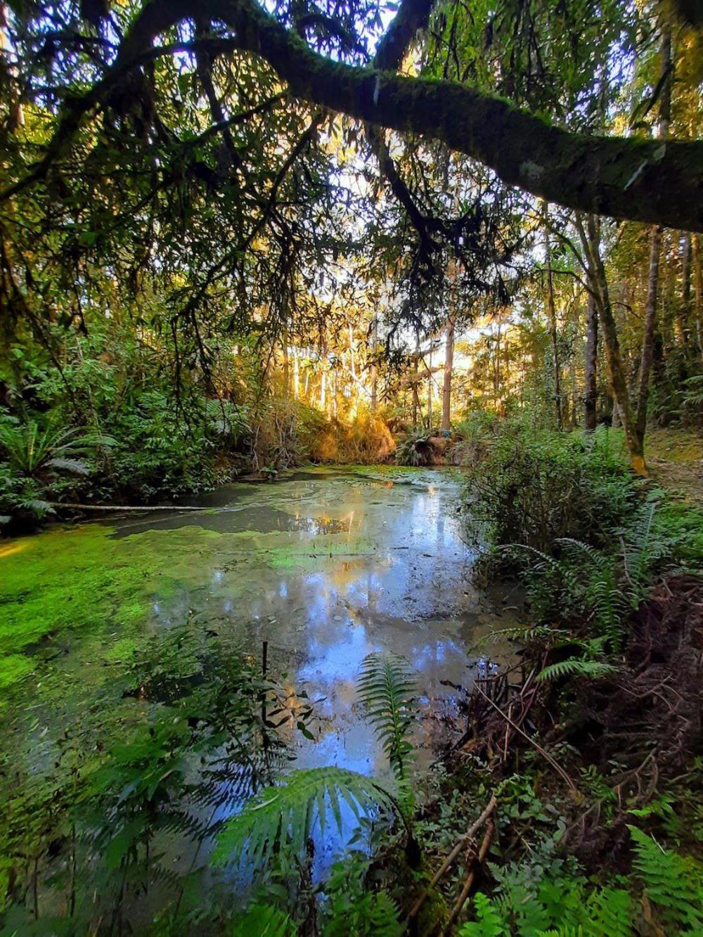 Recanto Paraiso Aventuras Rio Negrinho Eksteriør bilde